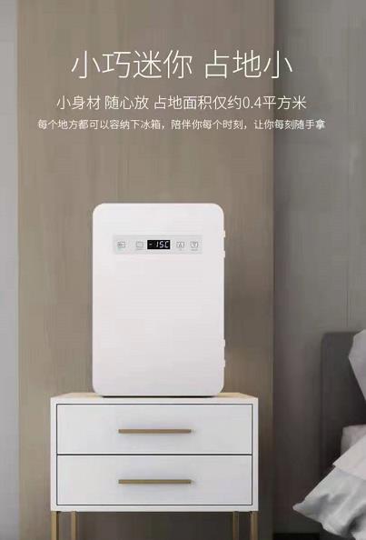 单人用租房小型小冰箱家用冷藏冷冻迷你微型电冰箱（WXY） 